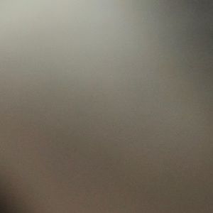 Meet your Posher, Bailey